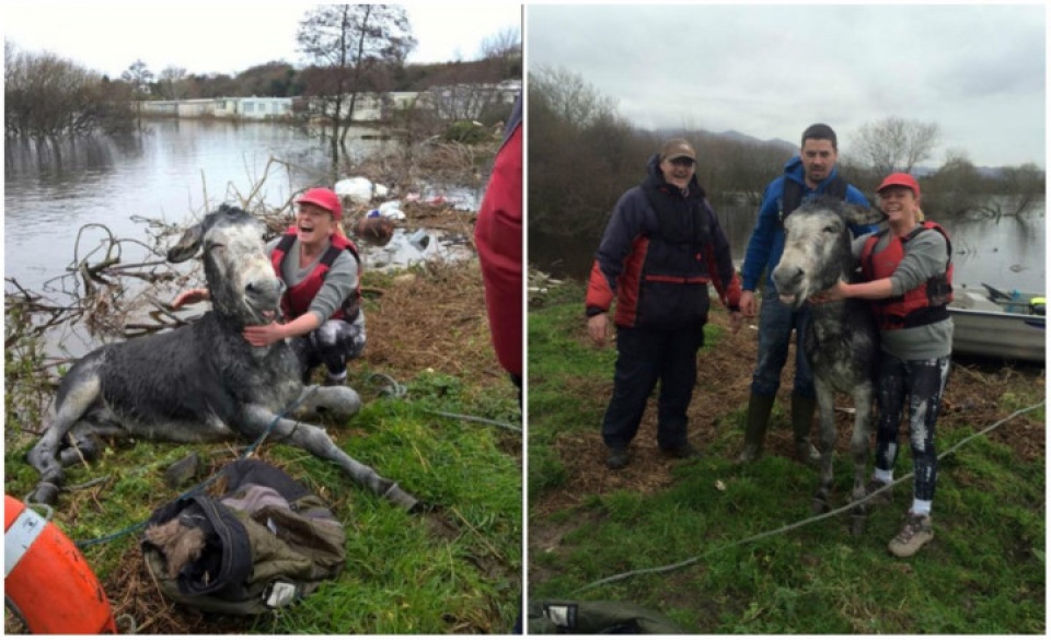 nhung hinh anh xuc dong trong cuoc song