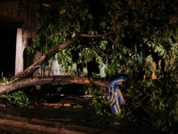 thu tuong chi nh phu chi da o khan cap ung pho bao so 10