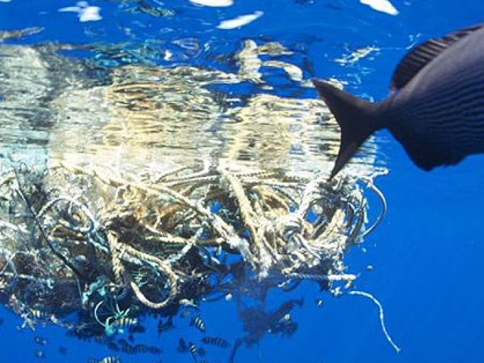 Phát hiện "đảo" rác nilon khổng lồ ở Nam Thái Bình Dương