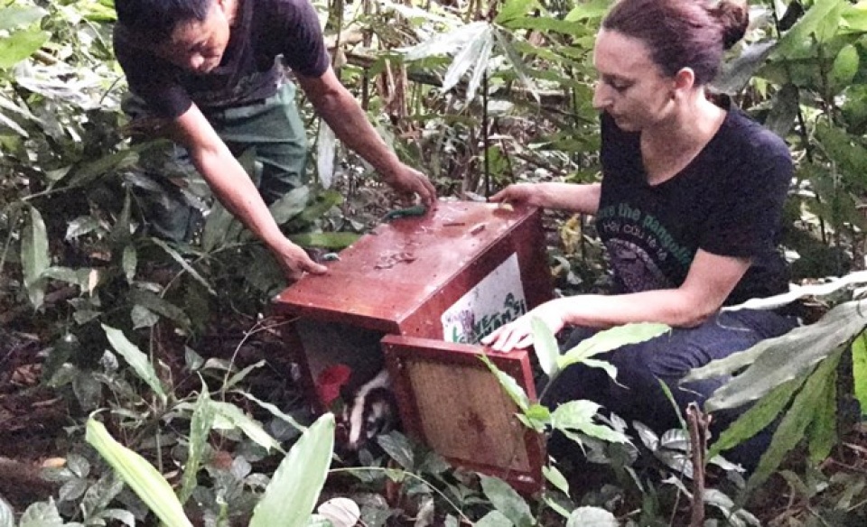 tai tha thanh cong 10 ca the cay quy hiem ve tu nhien