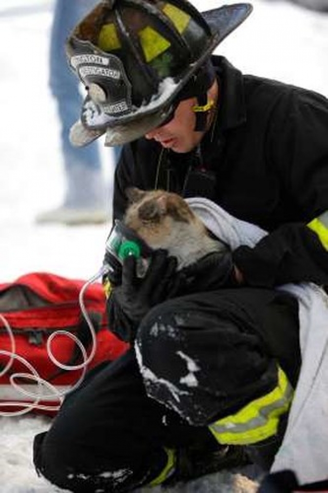 nhung hinh anh am ap chung minh long tot co o khap moi noi