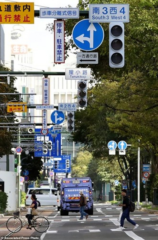 nhat ban dong dat giang xuong lat tung mat duong va nho bat re cay