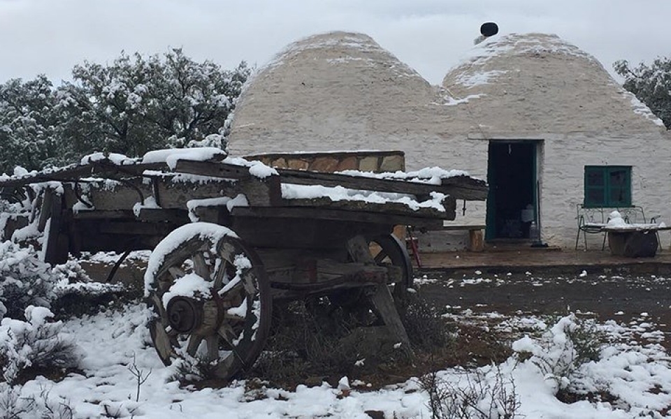 dong vat hoang da chau phi boi roi vi tuyet roi bat thuong