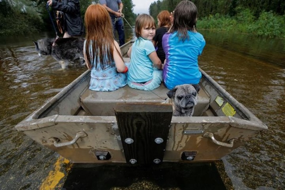 my giai cuu hang loat thu cung trong lu do bao florence