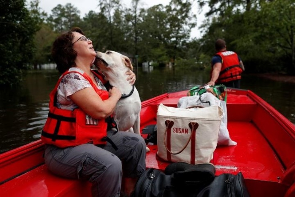 my giai cuu hang loat thu cung trong lu do bao florence