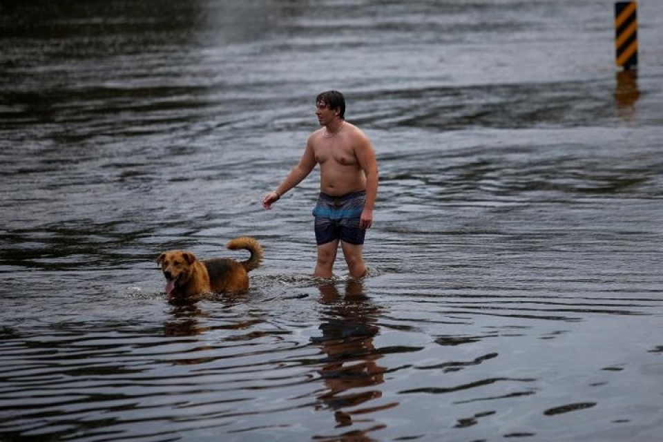 my giai cuu hang loat thu cung trong lu do bao florence