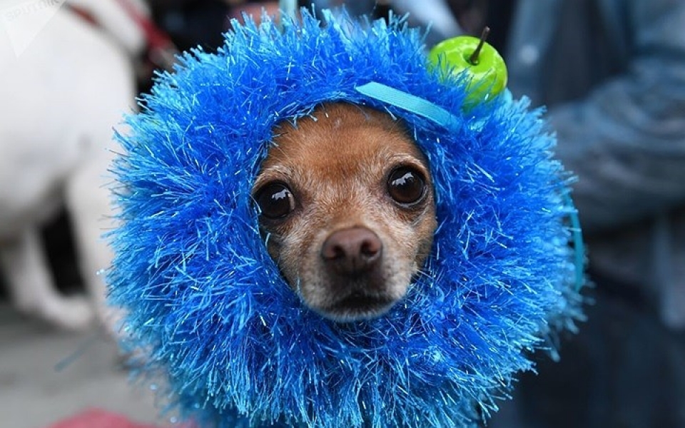 ngam cun cung sam vai sieu mau trinh dien tai moscow