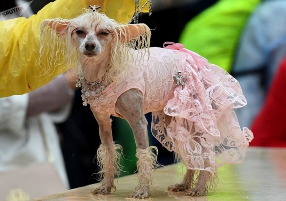 ngam cun cung sam vai sieu mau trinh dien tai moscow