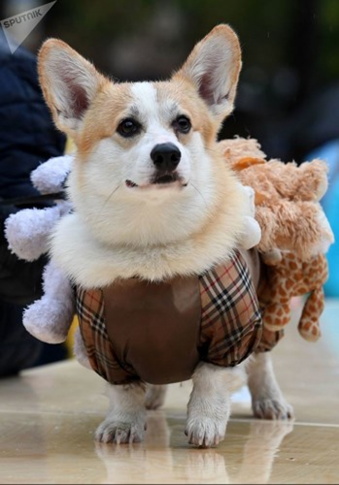 ngam cun cung sam vai sieu mau trinh dien tai moscow