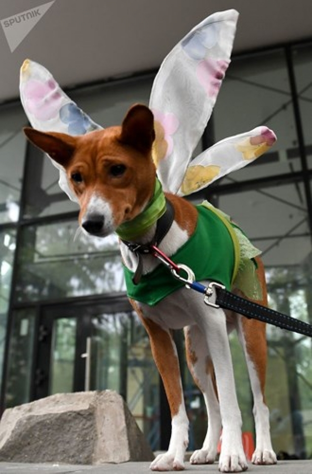 ngam cun cung sam vai sieu mau trinh dien tai moscow