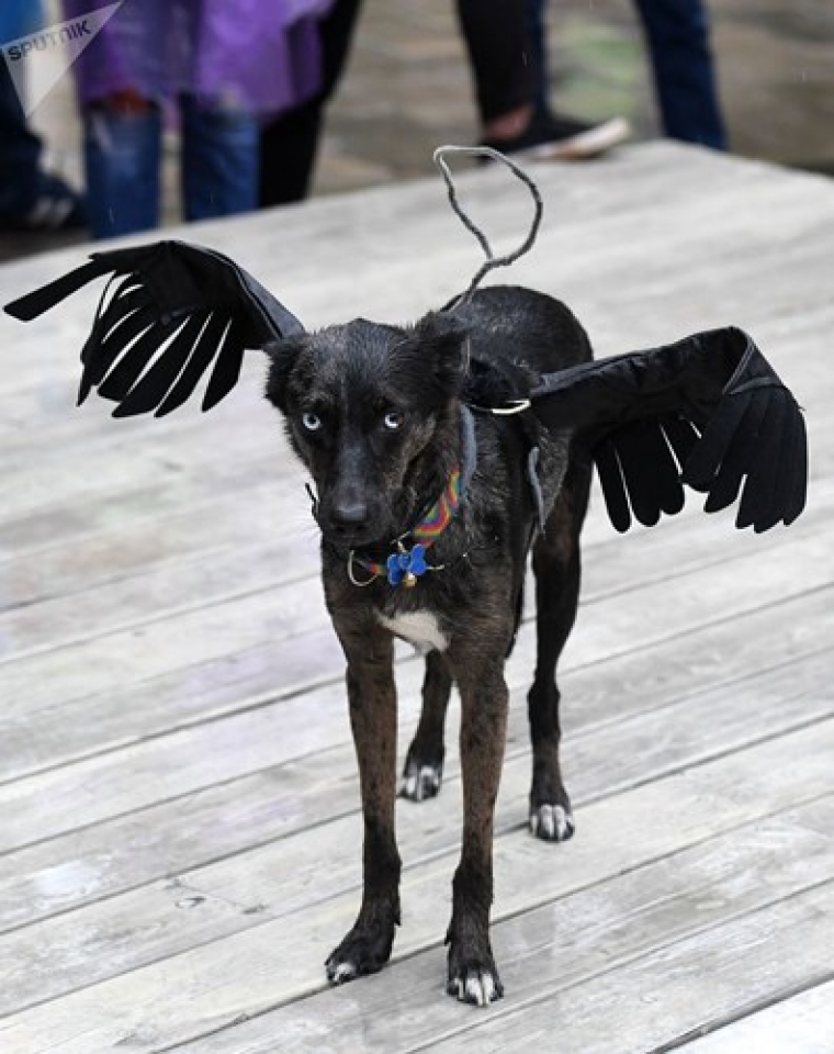 ngam cun cung sam vai sieu mau trinh dien tai moscow