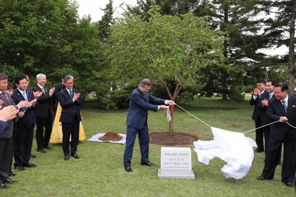 an tuong hinh anh trieu tien tiep don nong hau tong thong han quoc