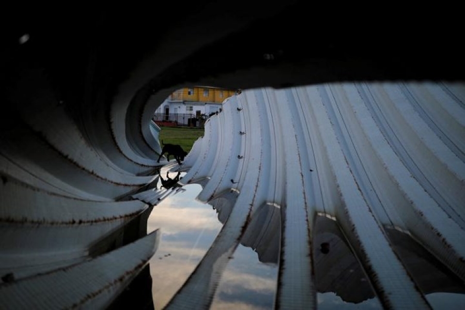 puerto rico xot ca canh tan hoang sau 1 nam bao maria tan pha