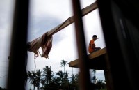 kinh hoang canh tuong tan hoang khi sieu bao michael can quet qua my