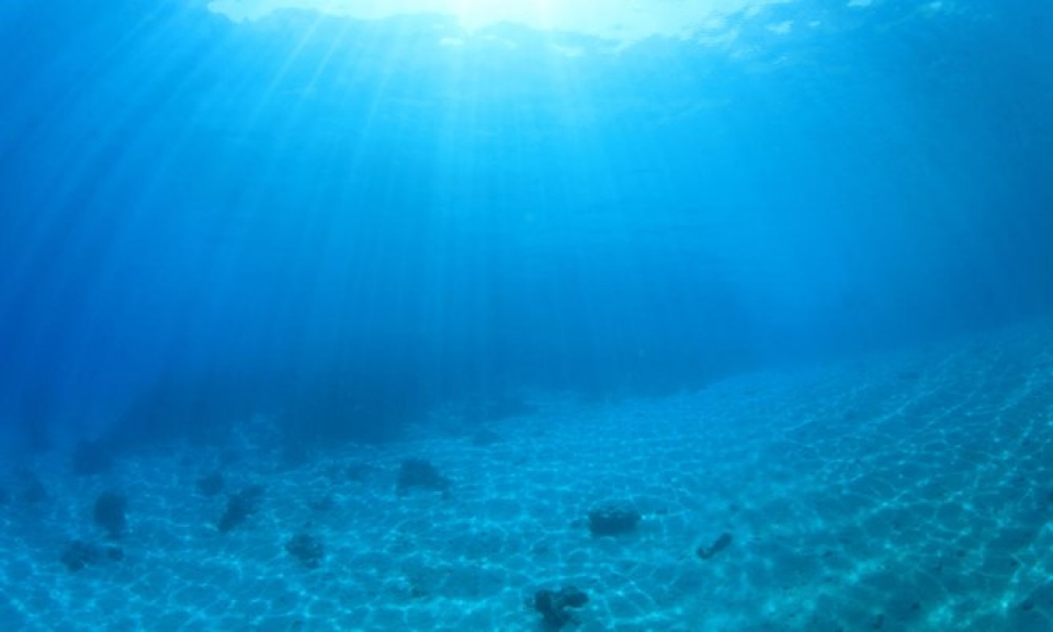 su dung robot tim hieu nguon khoang san duoi day dai duong