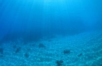 nga che tao robot tho lan hoat dong duoi nuoc