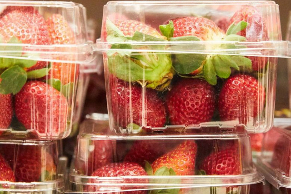 sau australia dau tay gan kim nhon xuat hien o new zealand