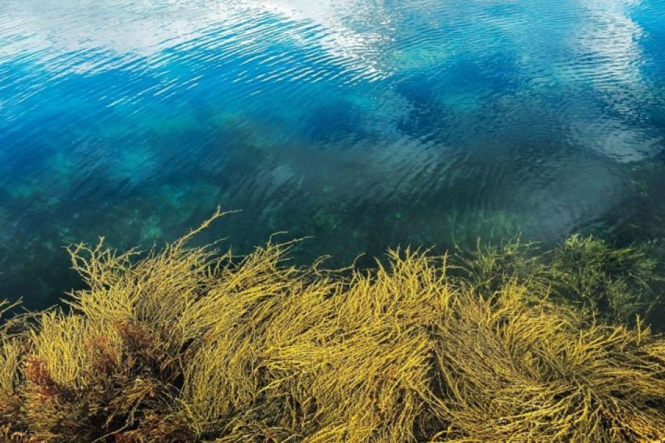 Cảnh đẹp ngọt ngào của vùng Murmansk nước Nga nga canh dep ngot ngao me dam long nguoi cua vung murmansk