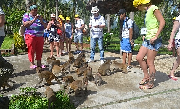 dao khi doc dao o nha trang len bao nuoc ngoai