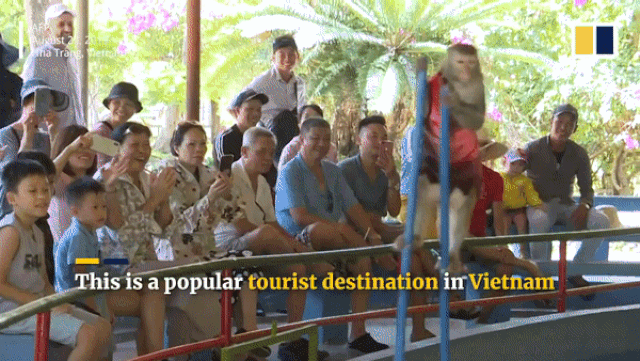 dao khi doc dao o nha trang len bao nuoc ngoai