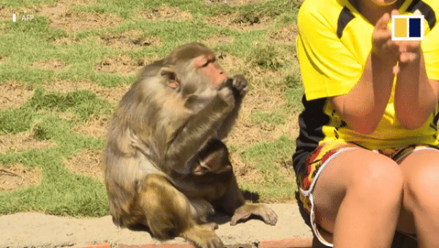 dao khi doc dao o nha trang len bao nuoc ngoai