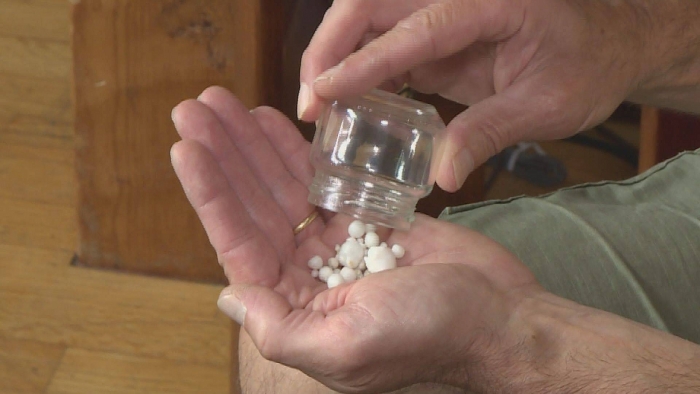 di an tiec nguoi dan ong phat hien 48 vien ngoc trong mot con hau