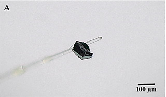 Phát hiện khoáng vật bí ẩn bên trong một viên kim cương Nam Phi khoang vat bi an duoc phat hien trong kim cuong nam phi