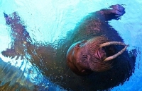 nhung su that thu vi co the ban chua biet ve bac cuc