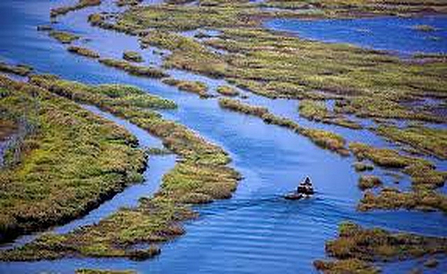 Đảo 1000 năm tuổi đột ngột lộ ra giữa lòng hồ cạn nước dao 1000 nam tuoi dot ngot lo ra giua long ho can nuoc