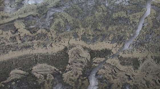 tim thay bang chung lau doi nhat cua su song