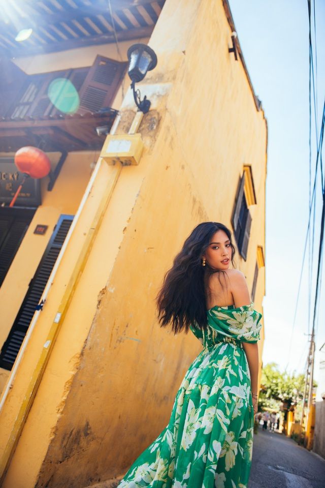 hoa hau tieu vy dep la trong buoi sang binh di den nao long o hoi an