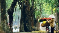 Dự báo thời tiết 10 ngày tới (25/9-5/10): Ngày nắng, mưa dông rải rác vào chiều tối, đêm; Bắc Bộ có nơi mưa rất to