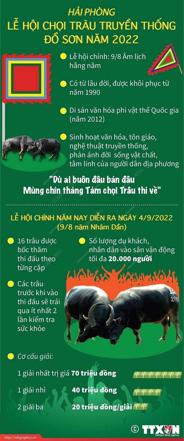 Lễ hội chọi trâu Đồ Sơn 2022.