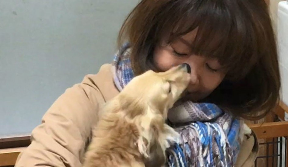 Nghiên cứu mới: Loài chó rơi nước mắt khi được đoàn tụ với chủ