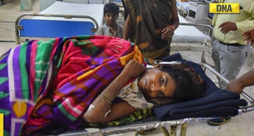 Ấn Độ: Bảo vệ con nhỏ 15 tháng, người mẹ dũng cảm 'đối đầu' hổ dữ Ấn Độ: Bảo vệ con nhỏ 15 tháng, người mẹ dũng cảm 'đối đầu' hổ dữ