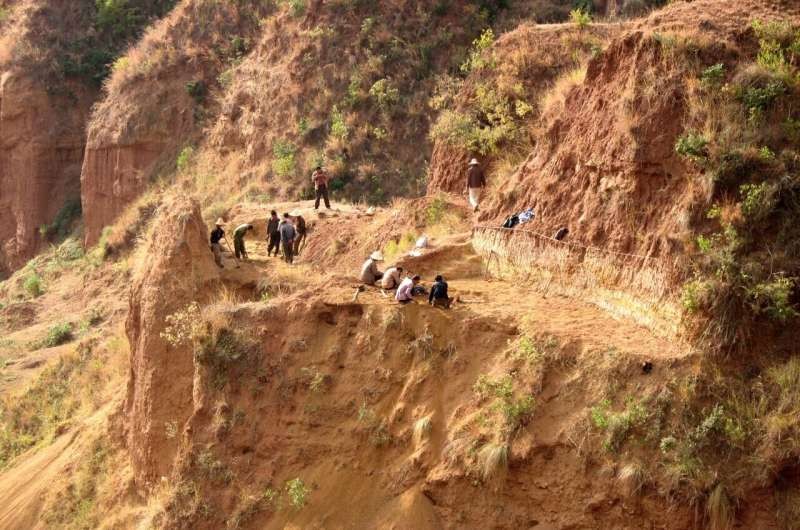 Trung Quốc: Phát hiện hóa thạch loài vượn lâu đời nhất cách đây 7-8 triệu năm