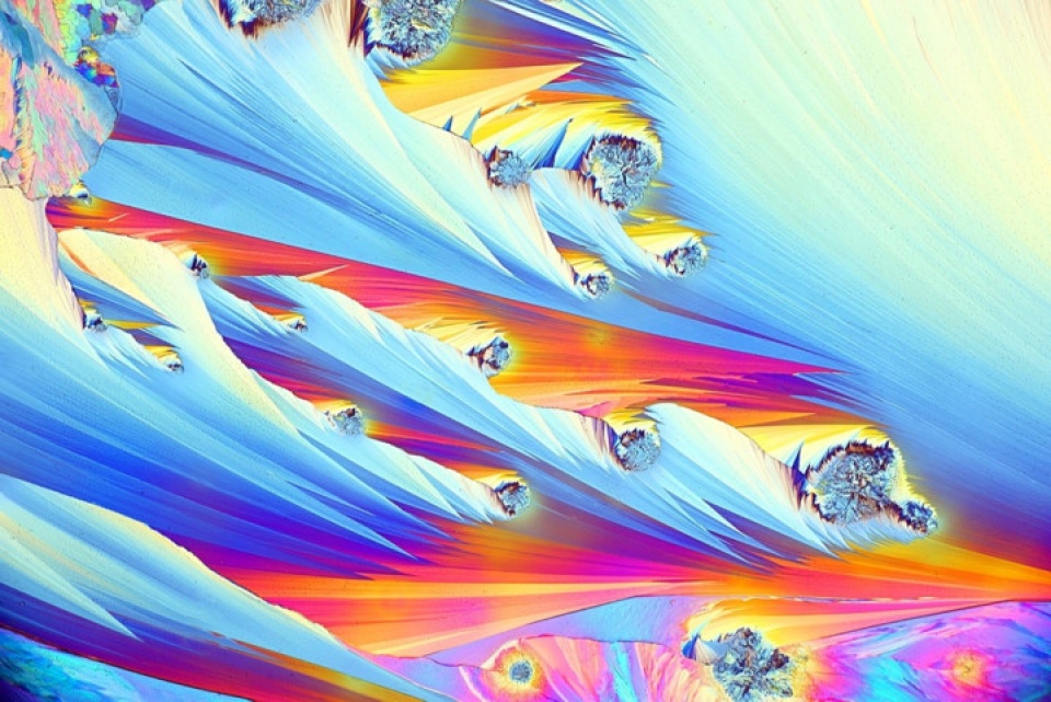 Thế giới đẹp ngỡ ngàng dưới ống kính hiển vi điện tử the gioi dep ngo ngang duoi ong kinh hien vi dien tu