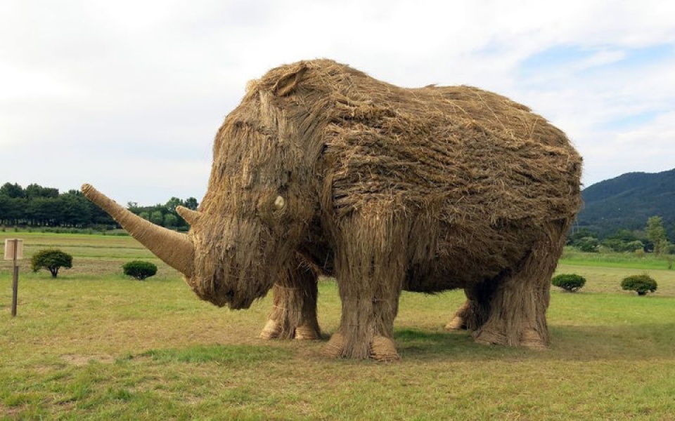 nguoi nhat bien dong rom thanh nhung con thu khong lo