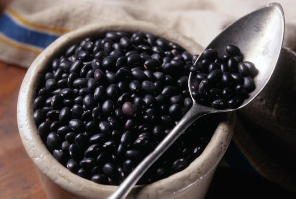 dau den co vo so gia tri dinh duong ma ban khong biet