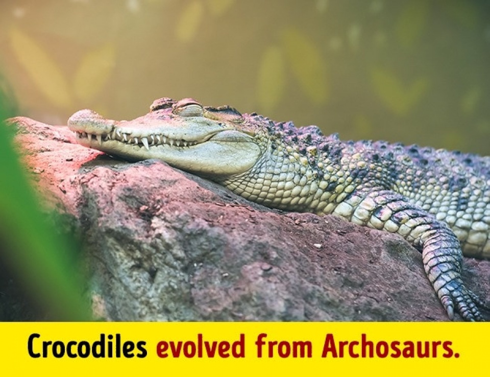 11 dieu ngac nhien ve hanh tinh cua chung ta