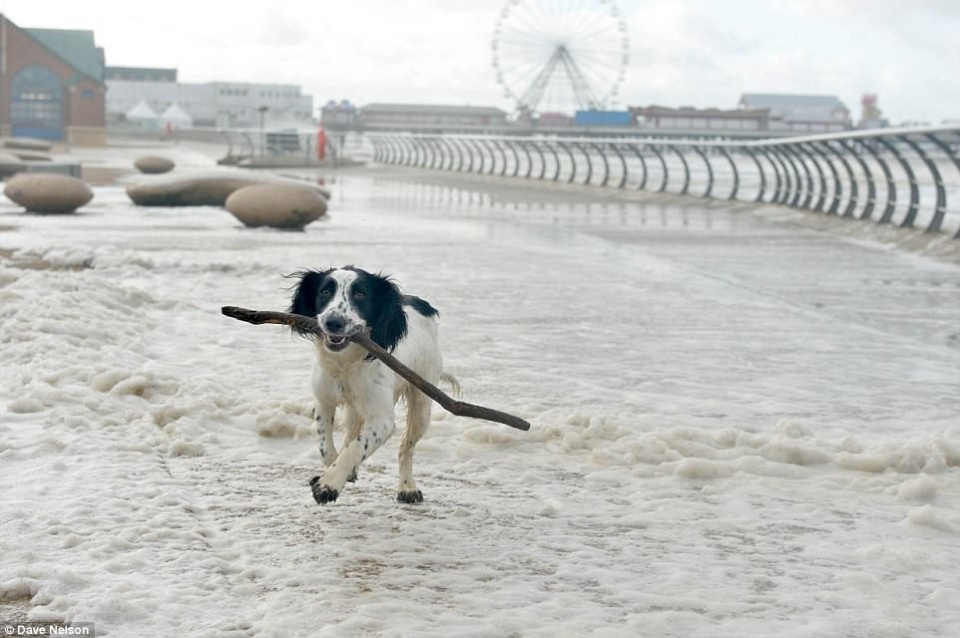 bot bien phu kin thi tran anh sau sieu bao ophelia