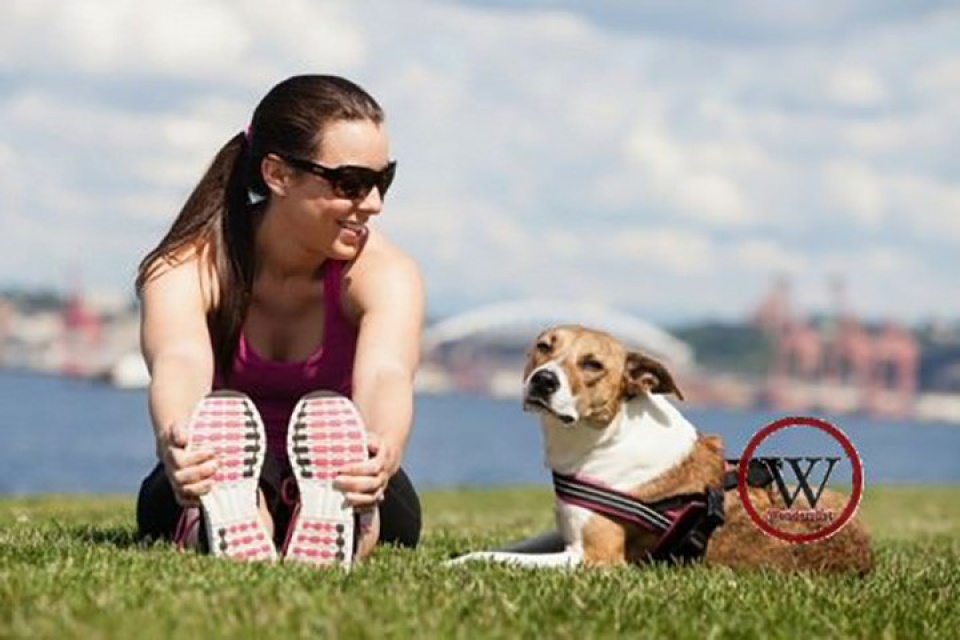 9 loi ich suc khoe khong ngo khi nuoi cho