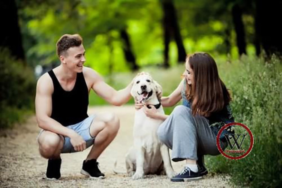 9 loi ich suc khoe khong ngo khi nuoi cho