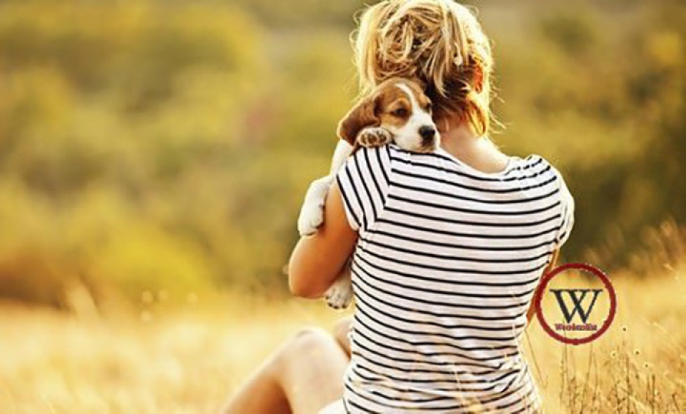 9 loi ich suc khoe khong ngo khi nuoi cho