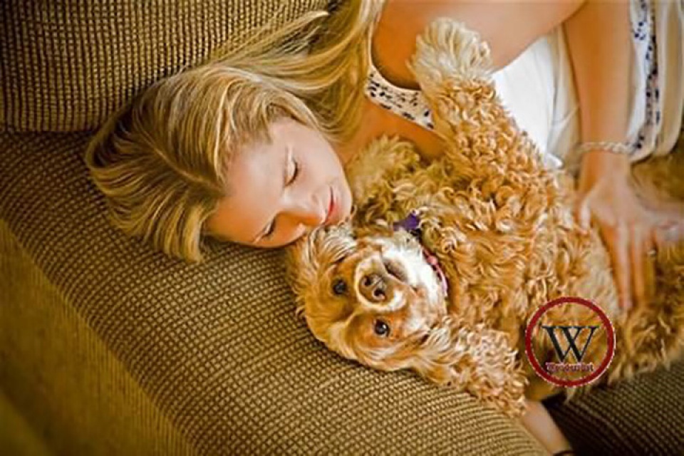 9 loi ich suc khoe khong ngo khi nuoi cho