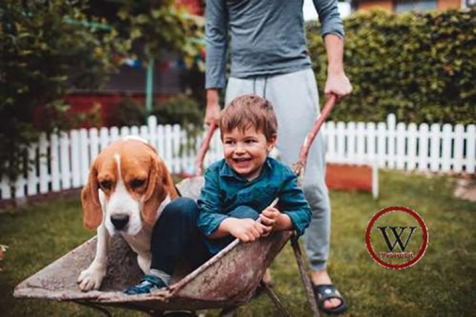 9 loi ich suc khoe khong ngo khi nuoi cho