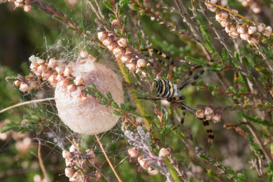 muong thu ngan ngo duoi tiet troi thu dep nao long