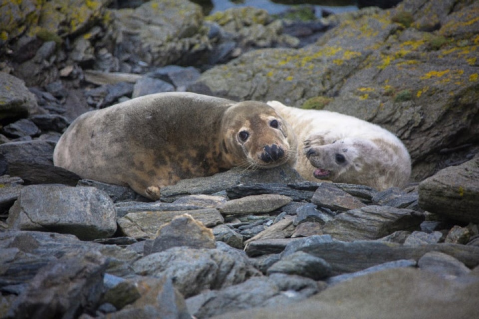 muong thu ngan ngo duoi tiet troi thu dep nao long