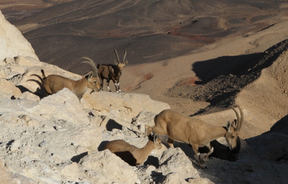 muong thu ngan ngo duoi tiet troi thu dep nao long