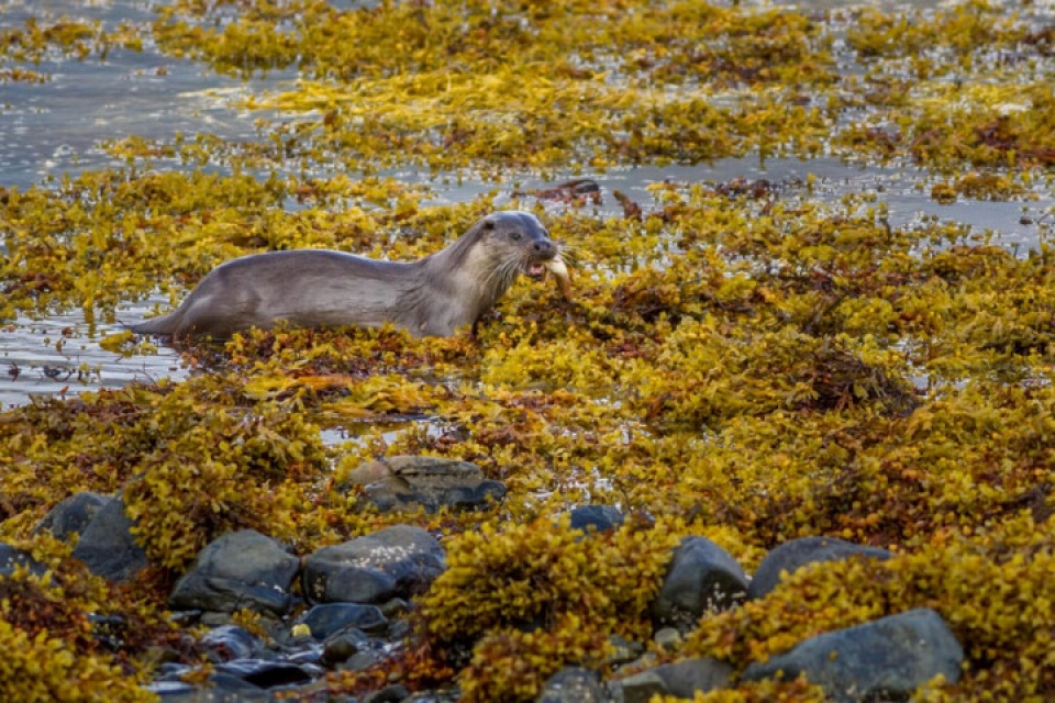 muong thu ngan ngo duoi tiet troi thu dep nao long